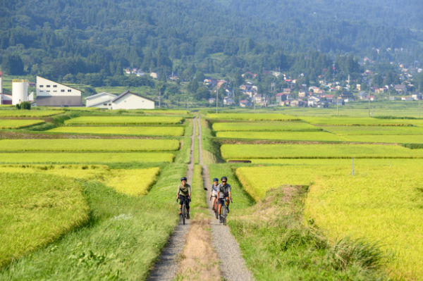 Gravel Through the Rice Fields