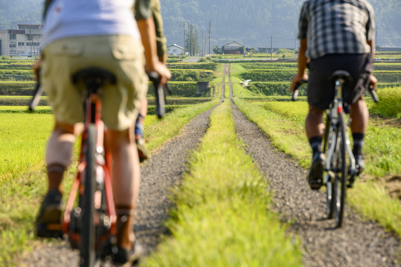 Straight gravel path through rice paddies