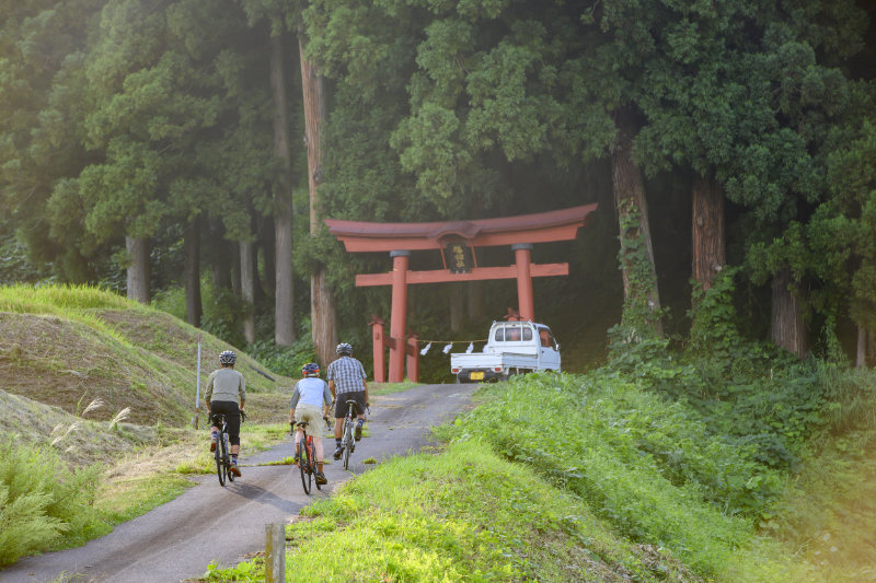 Traditional shrines and temples scattered along the route