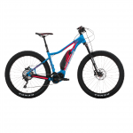 Electric mountain bike
