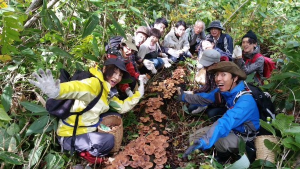 Mountain hiking & mushroom picking Shinanomachi　