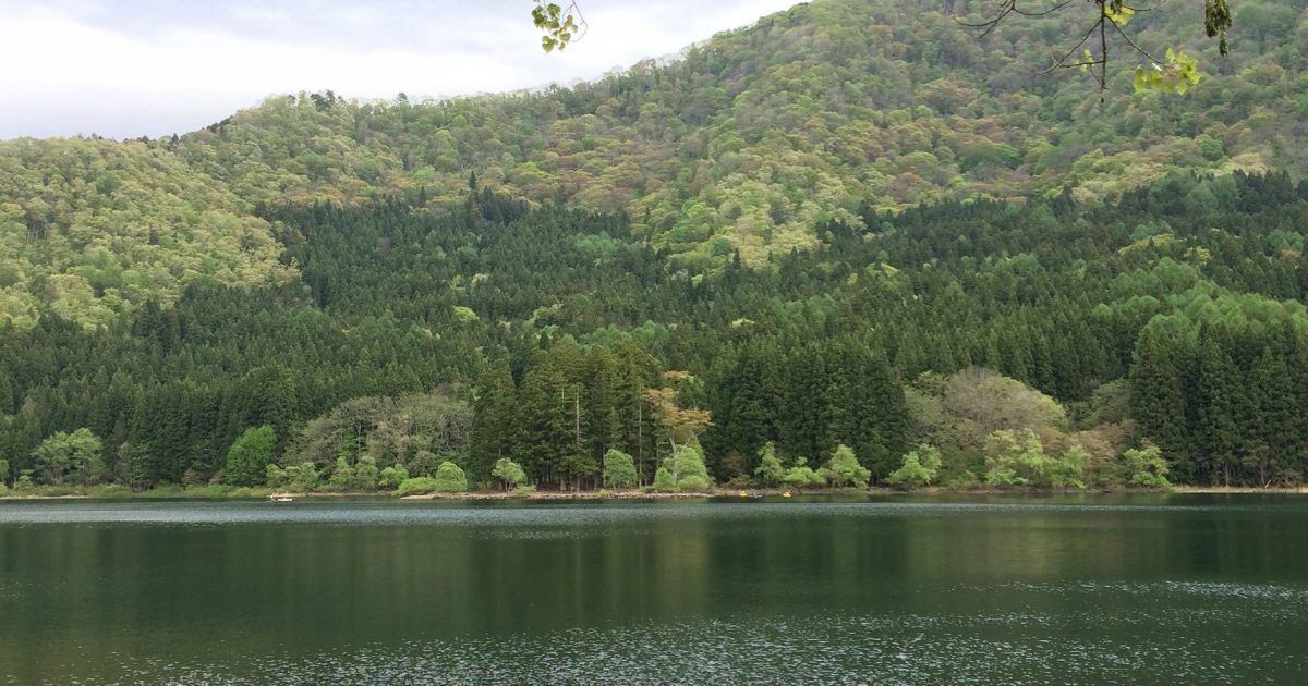 Lake Hokuryu SUP Experience