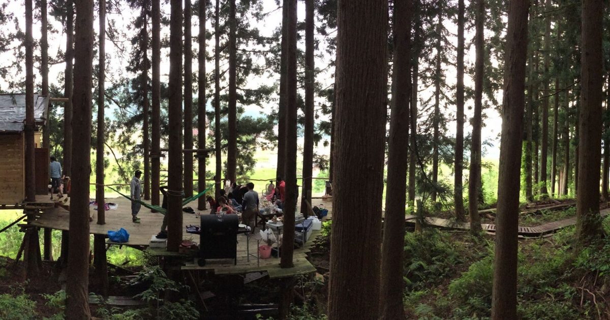 Private tree campsite  Nozawa onsen