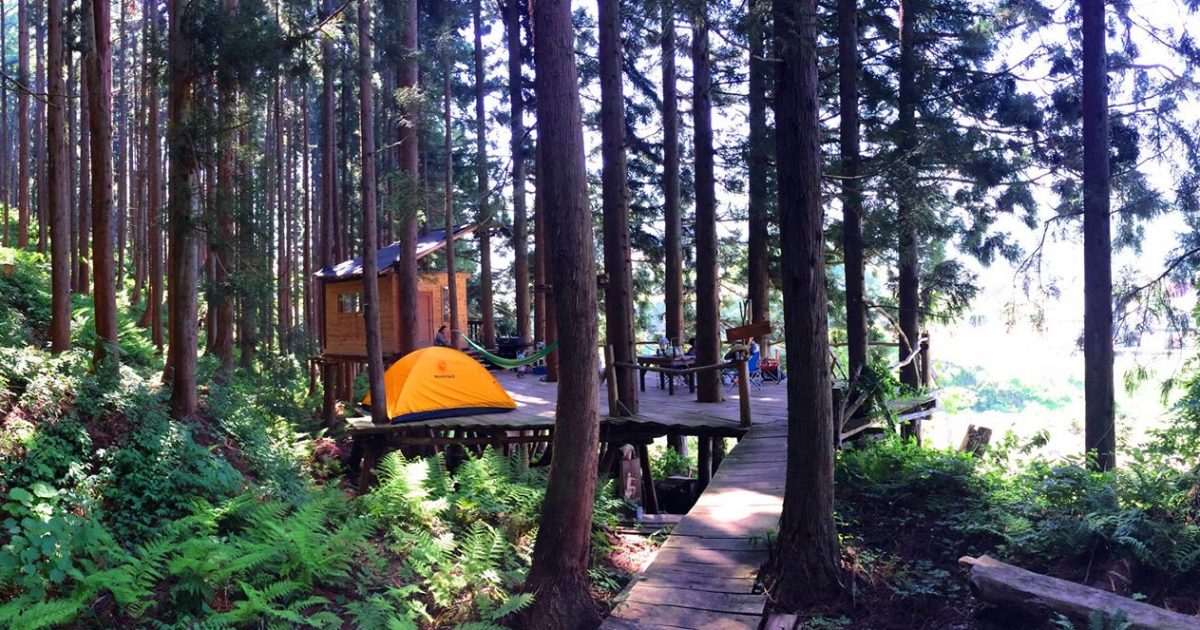Private tree campsite  Nozawa onsen