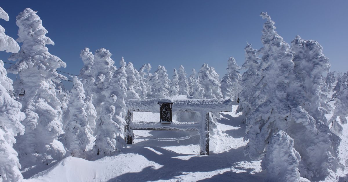 Snowshoe hiking private guide in Shiga Kogen【New applications will be temporarily suspended】