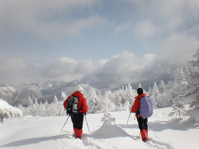 Snowshoe hiking private guide in Shiga Kogen