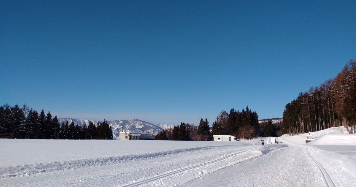 Cross country (Nordic) ski lessons & tours ~Nozawa Onsen
