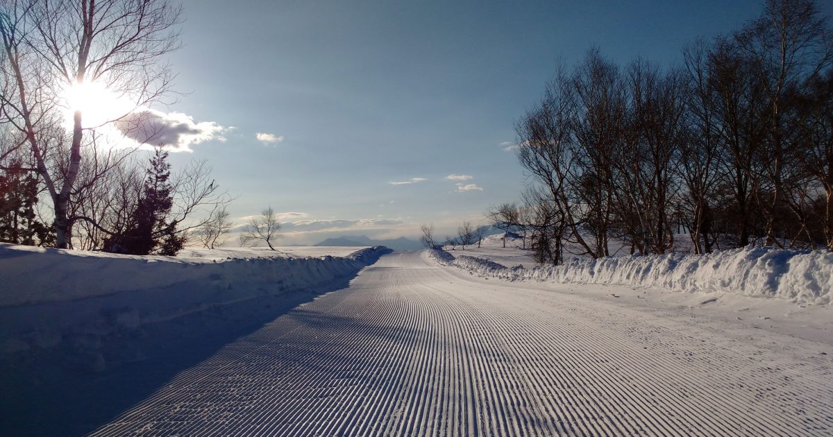 Cross country (Nordic) ski lessons & tours ~Nozawa Onsen