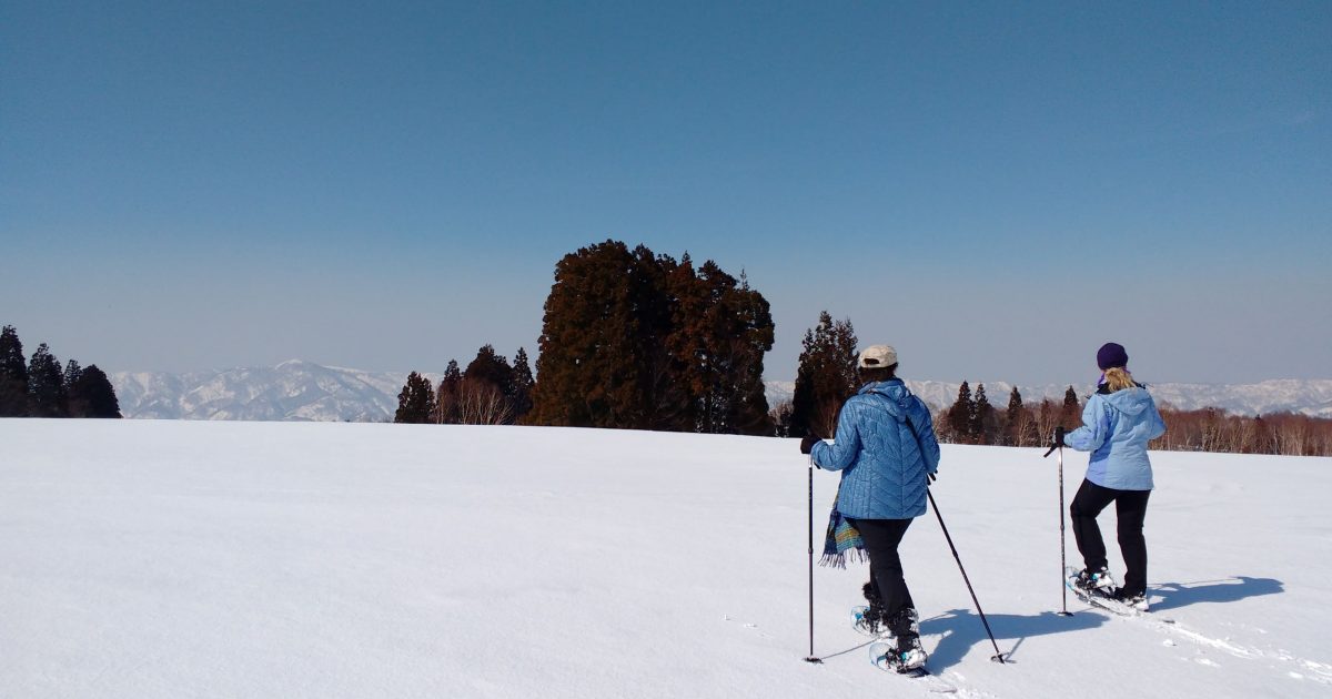 Snowshoeing adventures ~ Nozawa Onsen / Lake Hokuryu
