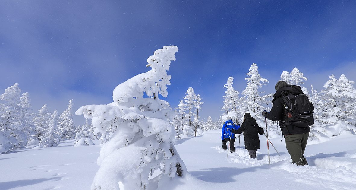 Snowshoe hiking private guide in Shiga Kogen