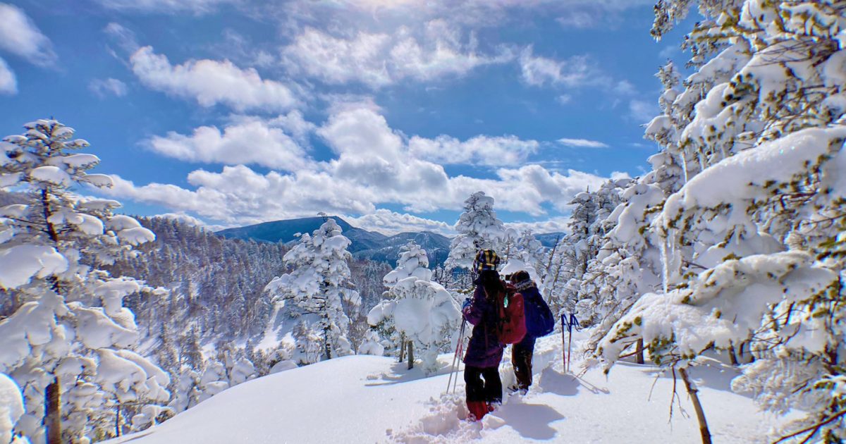 Snowshoe hiking private guide in Shiga Kogen
