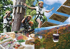 Arai Mountain Resort