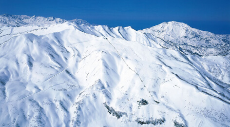 Arai Mountain Resort