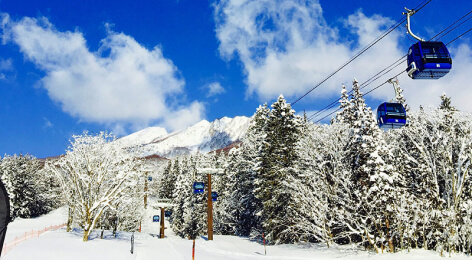 Myoko Suginohara Ski Resort