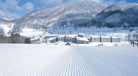 Tangram Ski Circus
