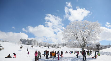 Nozawa Onsen Snow Resort