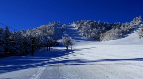 Shiga Kogen Kumanoyu Ski Area